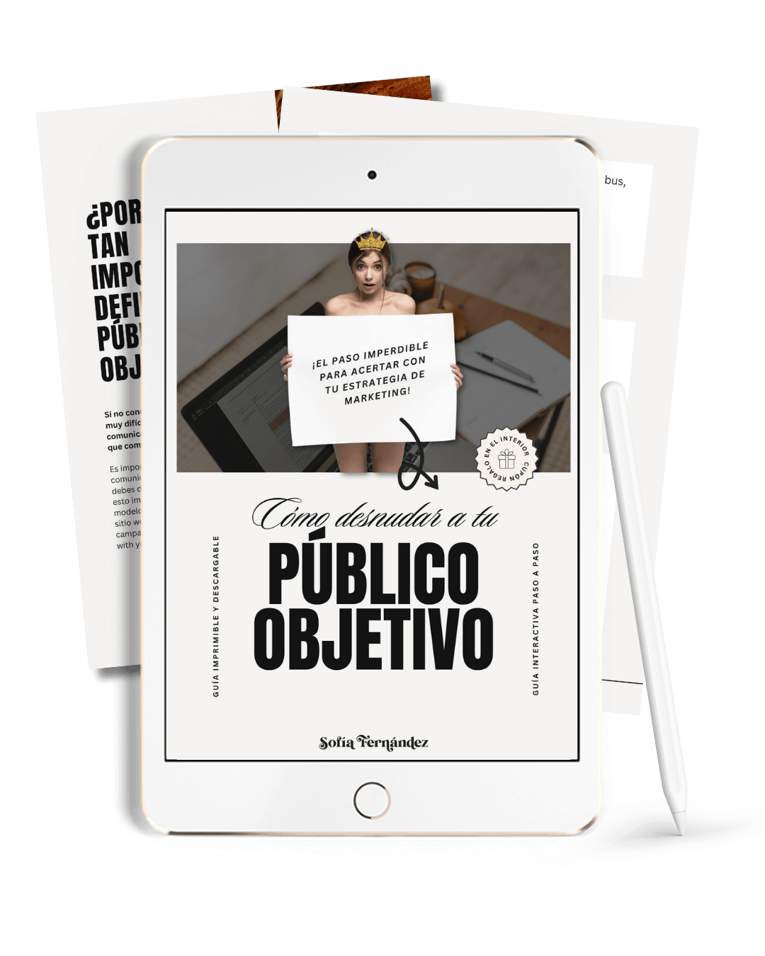 guía público objetivo